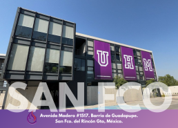 Universidad Humani Mundial