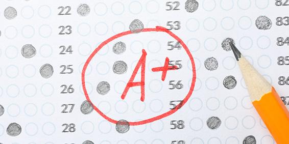 Les contamos cómo tener éxito en la universidad