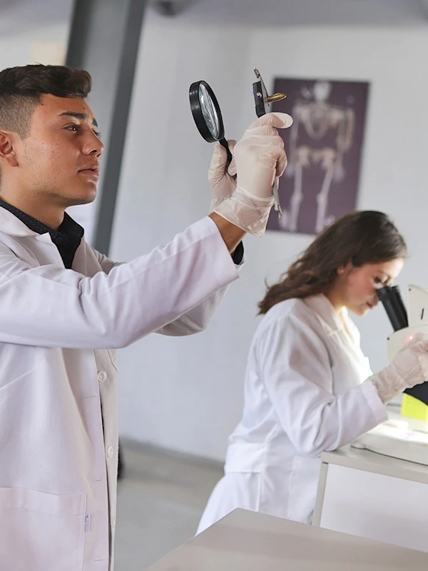 Instalciones Humani Mundial - Laboratorio de Criminología