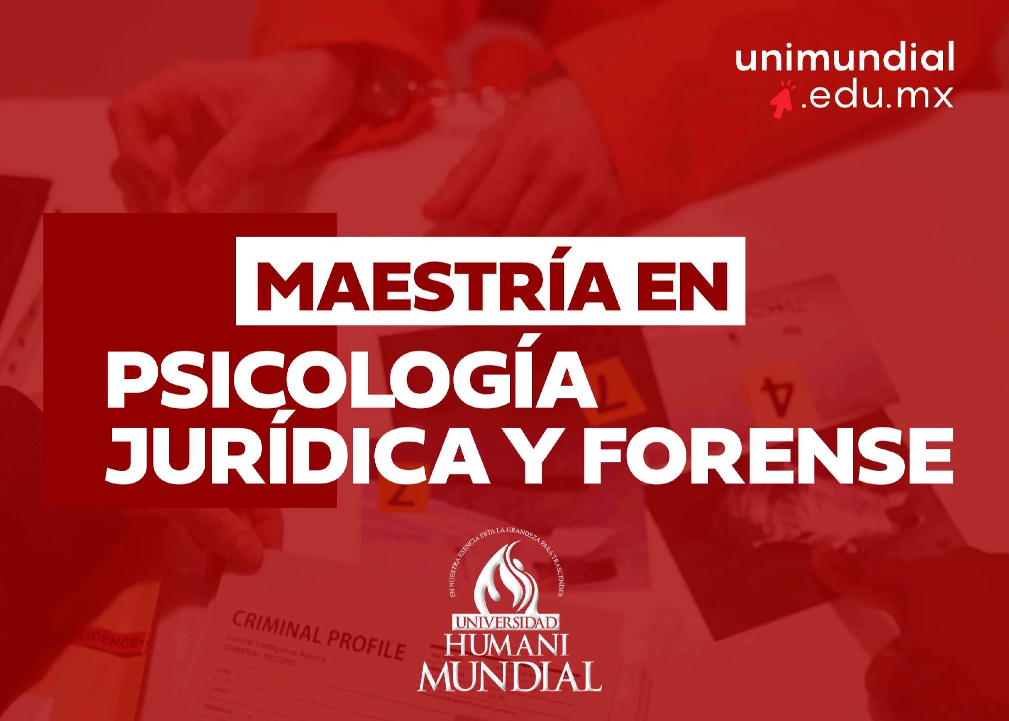 Maestría en Psicología Jurídica y Forense
